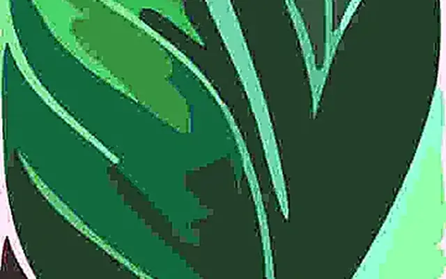 Back Ground 10X 100 Scaled E350E8A2